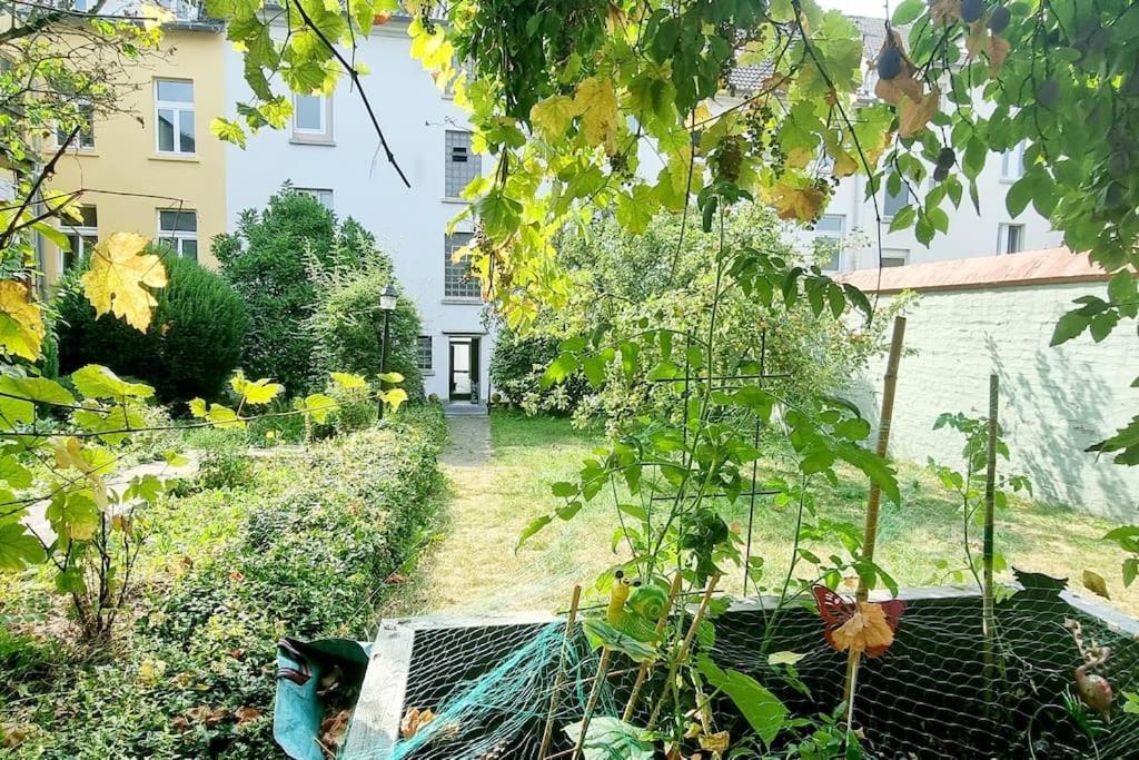 Schoene, Gemuetliche Wohnung, Voll Ausgestattet 부퍼탈 외부 사진